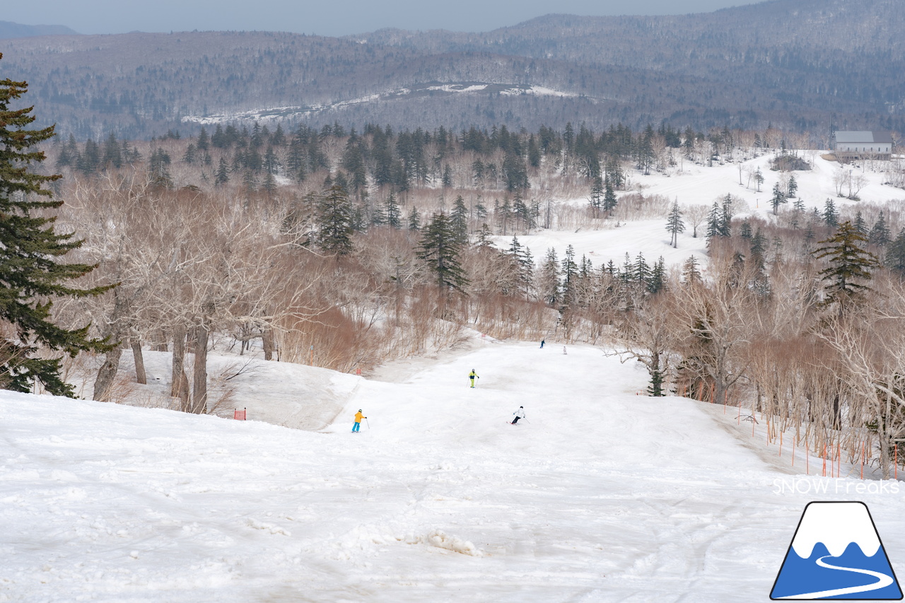 札幌国際スキー場｜2023・ゴールデンウィークがスタート！心配された雪ですが…。大丈夫、ちゃんと残ってくれました(^_-)-☆